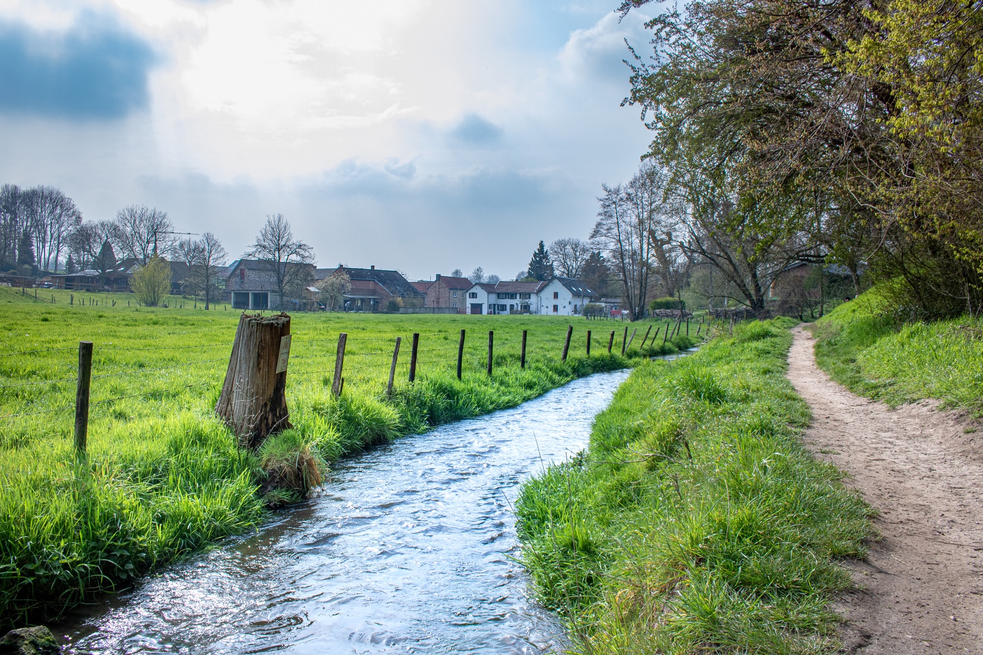 Beekje naast wandelpad
