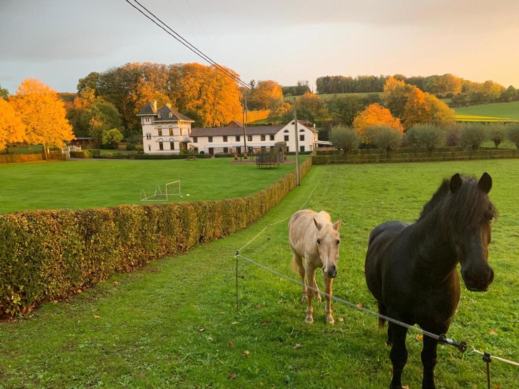Zicht op velden rond Molenhoeve