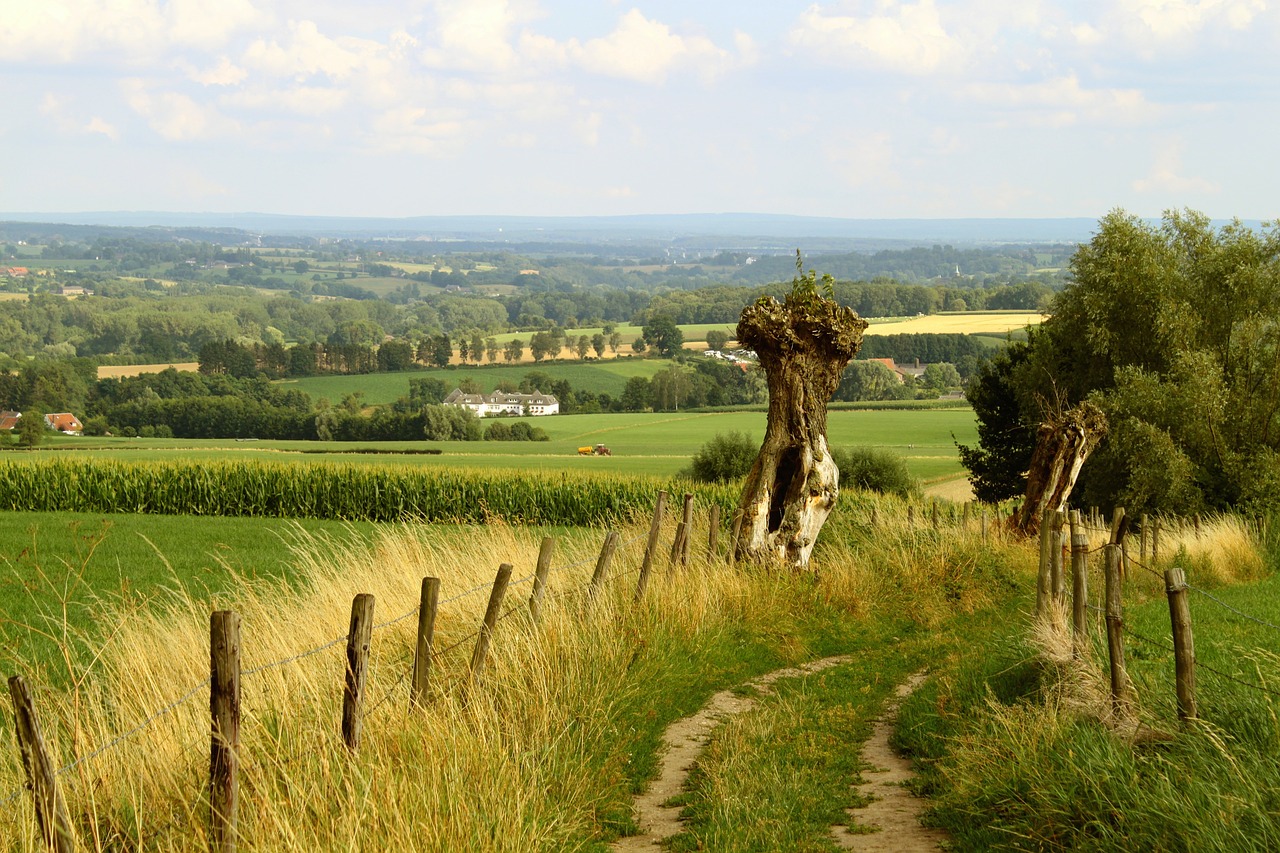 Uitzicht over landschap met wandelpad